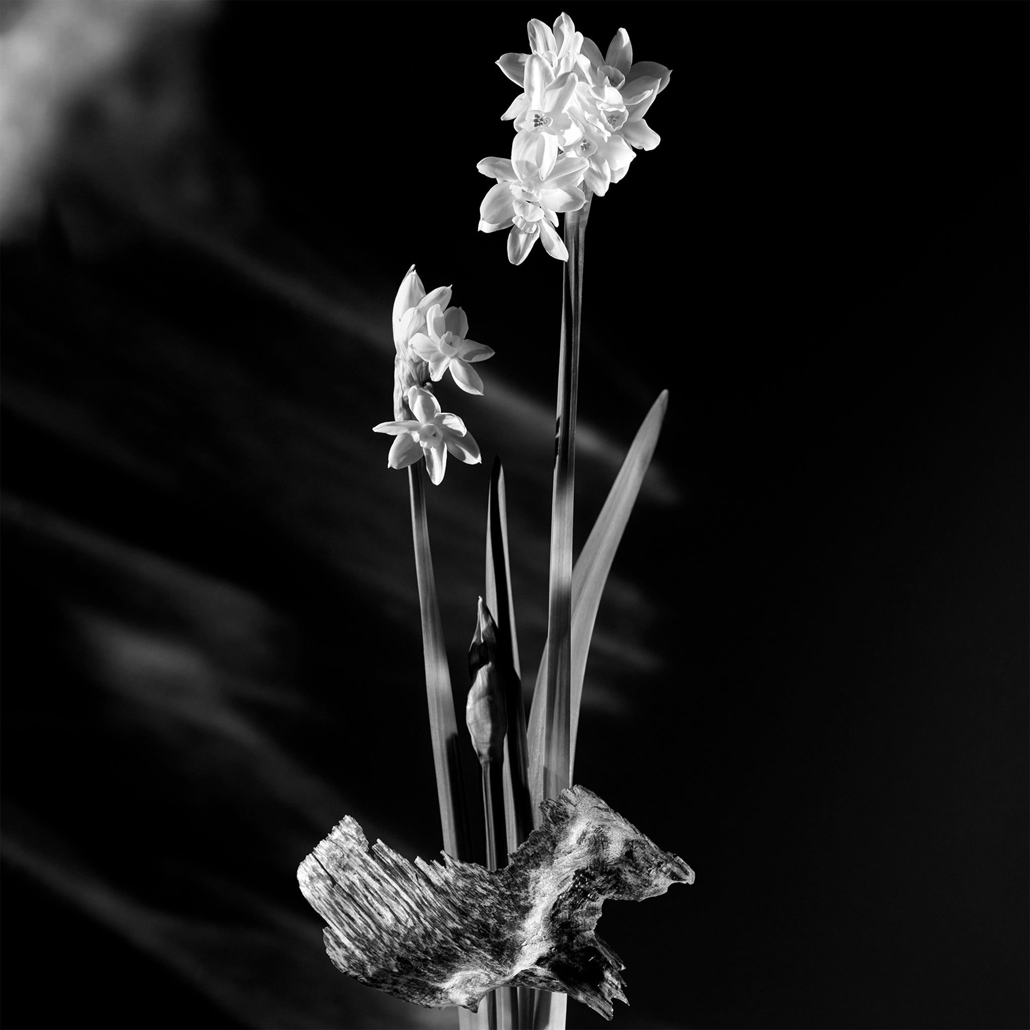 Flower packaging view of Louis Vuitton Matière Noire Parfum 100ml 014421